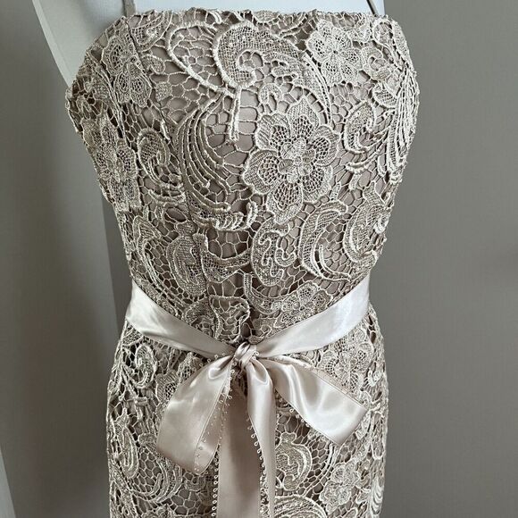 Cache vintage Dress 12 Lace Strapless Glam Party Cocktail Wedding Holiday - Picture 10 of 14